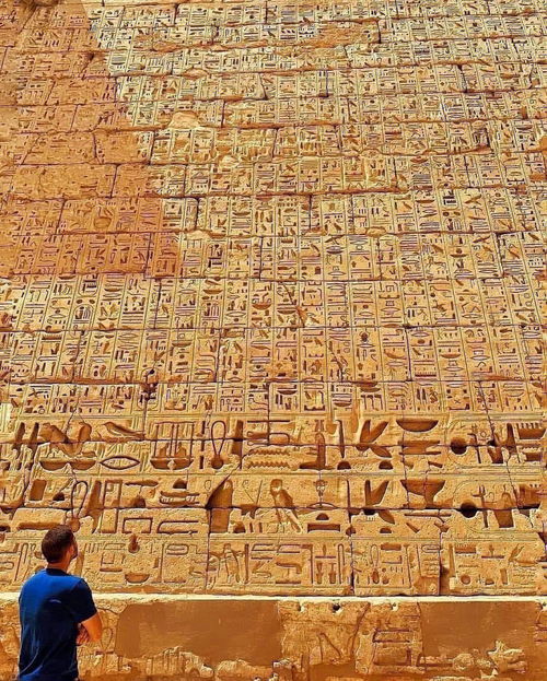 埃及象形文字书写在