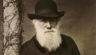 达尔文的进化论真的