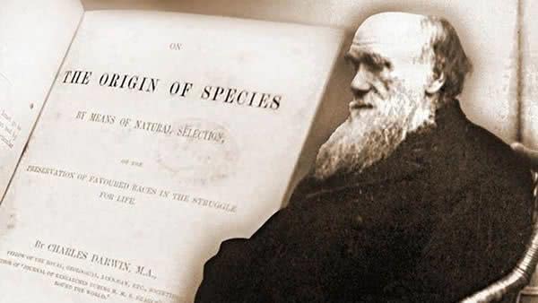 达尔文进化论的科学性