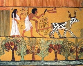 古代埃及等级阶层