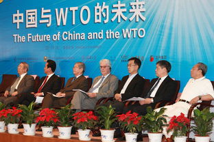 中国加入wto之前与之后有什么变化