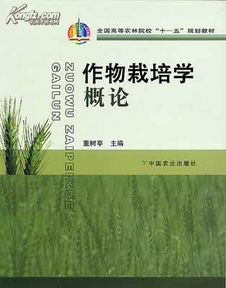 中国古代农作物种植