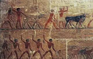 古埃及的社会形态