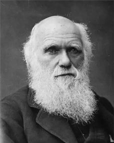 达尔文的进化论是真