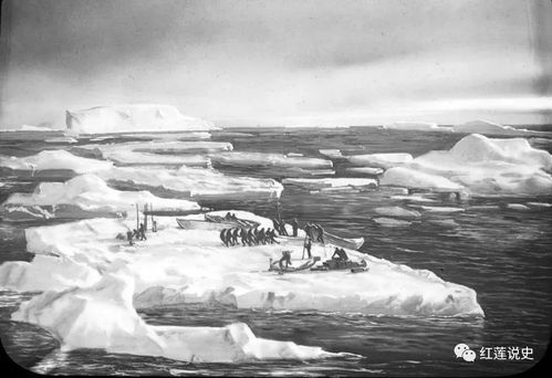 南极条约协商国会议
