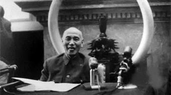 蒋介石领导的国民政