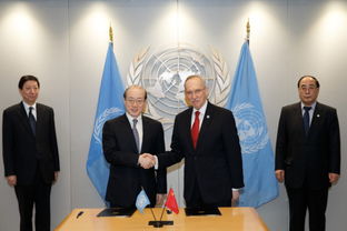 联合国和平与发展委员会特使陶松林